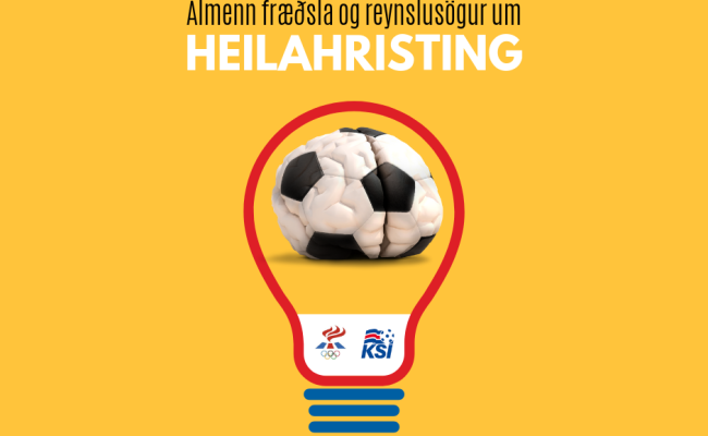 Heilahristingur (7)